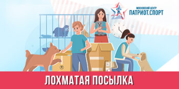 Москвичей приглашают принять участие в волонтерской акции «Лохматая посылка»