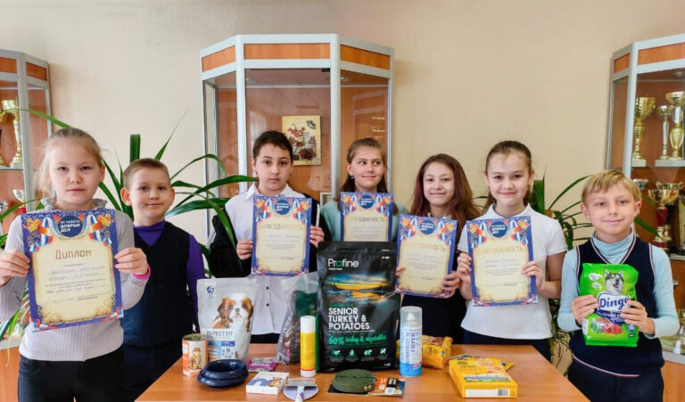 Московские школьники собрали корм и медикаменты для бездомных животных