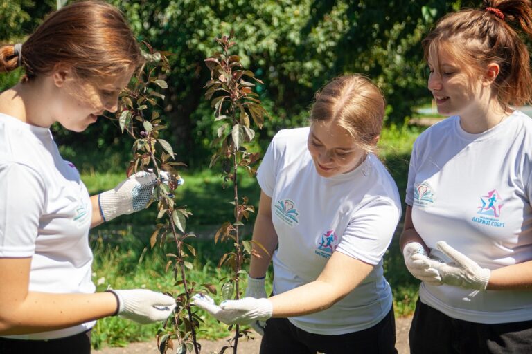 «Строгинское яблоко»: как волонтеры школы № 1155 ухаживают за уникальным яблоневым садом