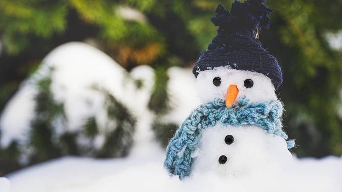 Школьные волонтеры приглашают москвичей поучаствовать во флешмобе снежных фигур